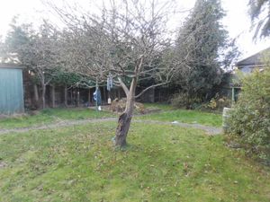 garden- click for photo gallery